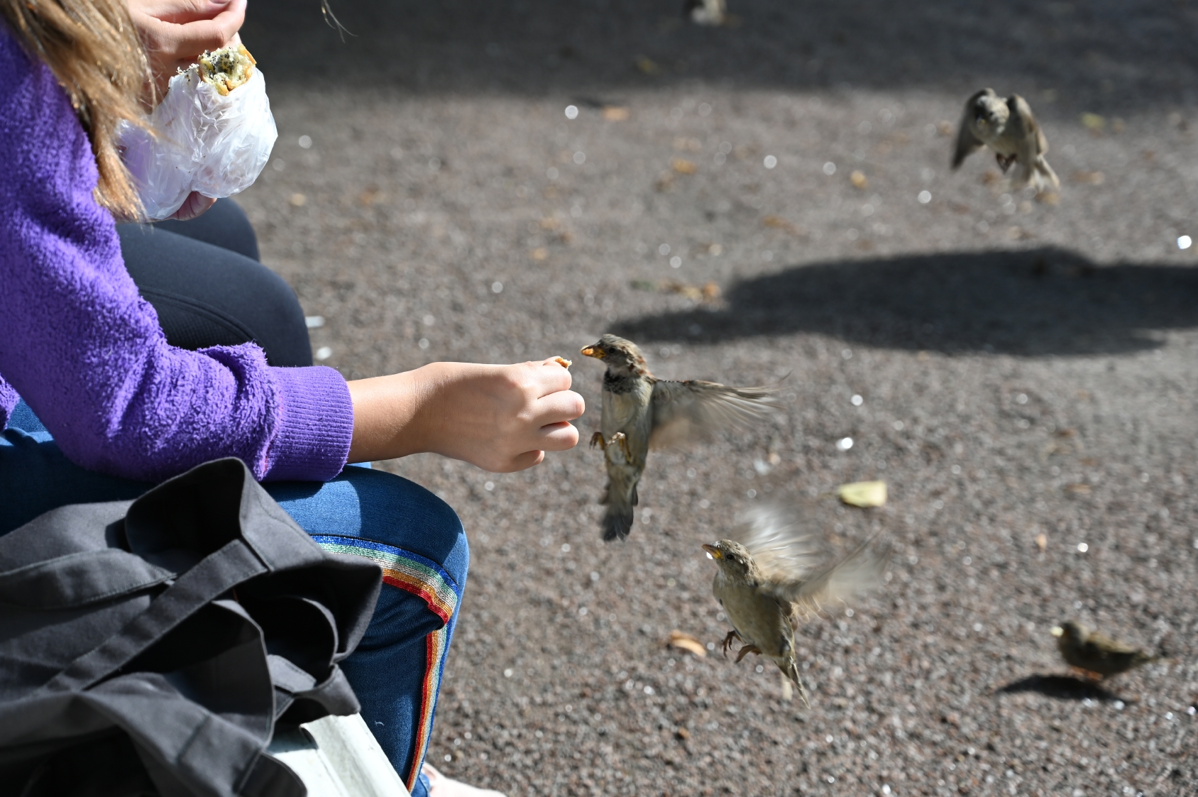 dsc_0686.jpg