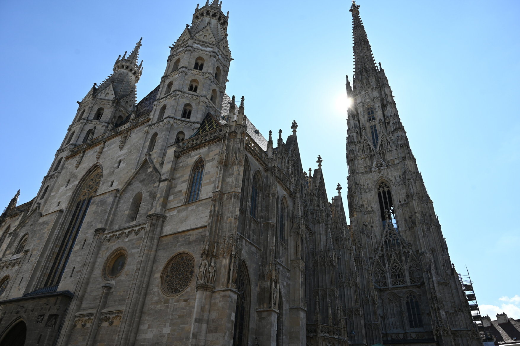 dsc_4311.jpg