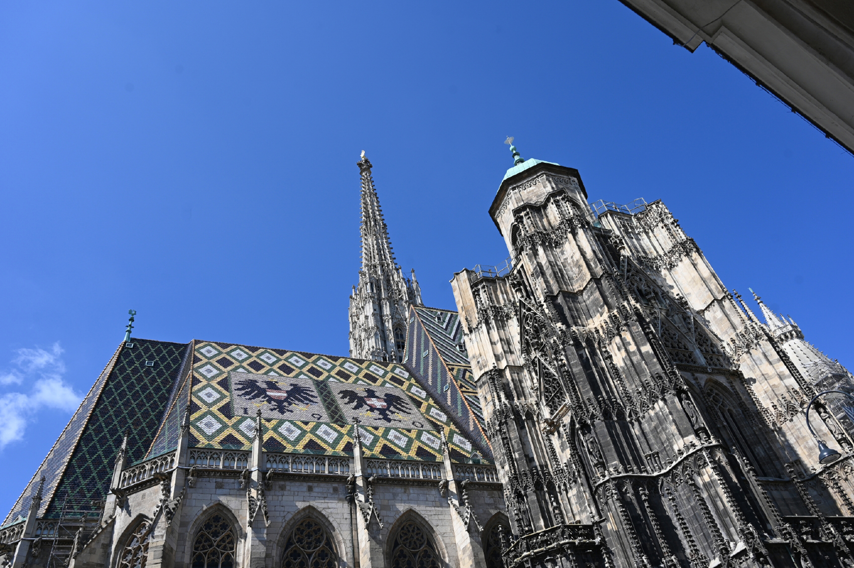 dsc_4317.jpg