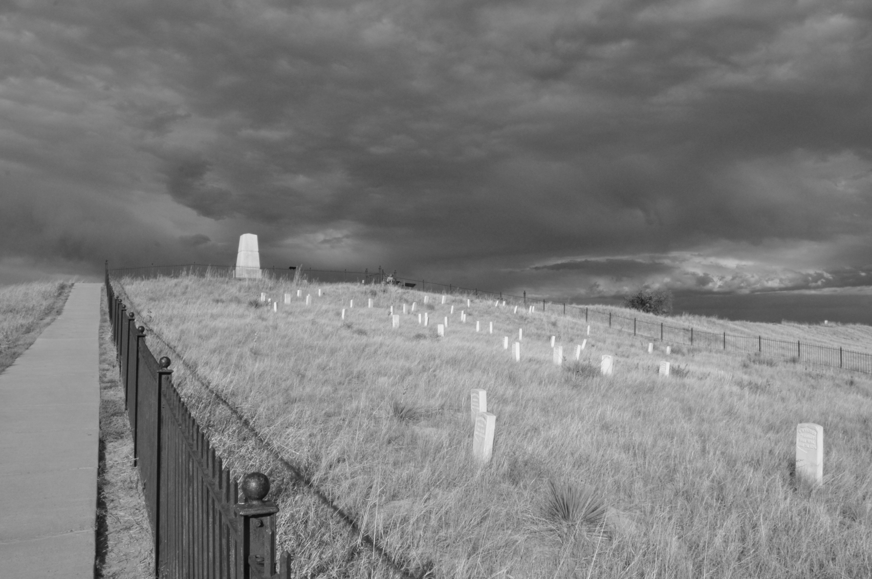 DSC_0159_20120728_6462BW.jpg